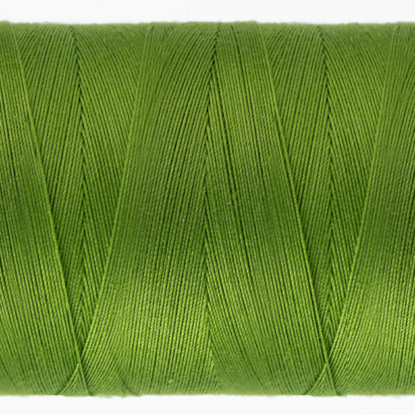 WonderFil Konfetti 50wt Ivy - Image 2