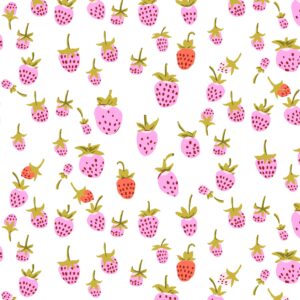 Windham - Heather Ross 108" Quilt Back Blair Rose Strawberrry