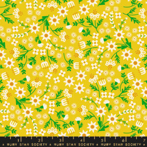 Ruby Star Rising Collaborative Collection Favorite Flowers Inflorescence Golden Hour