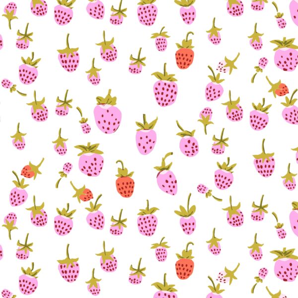 Windham - Heather Ross 20th Anniversary Strawberry