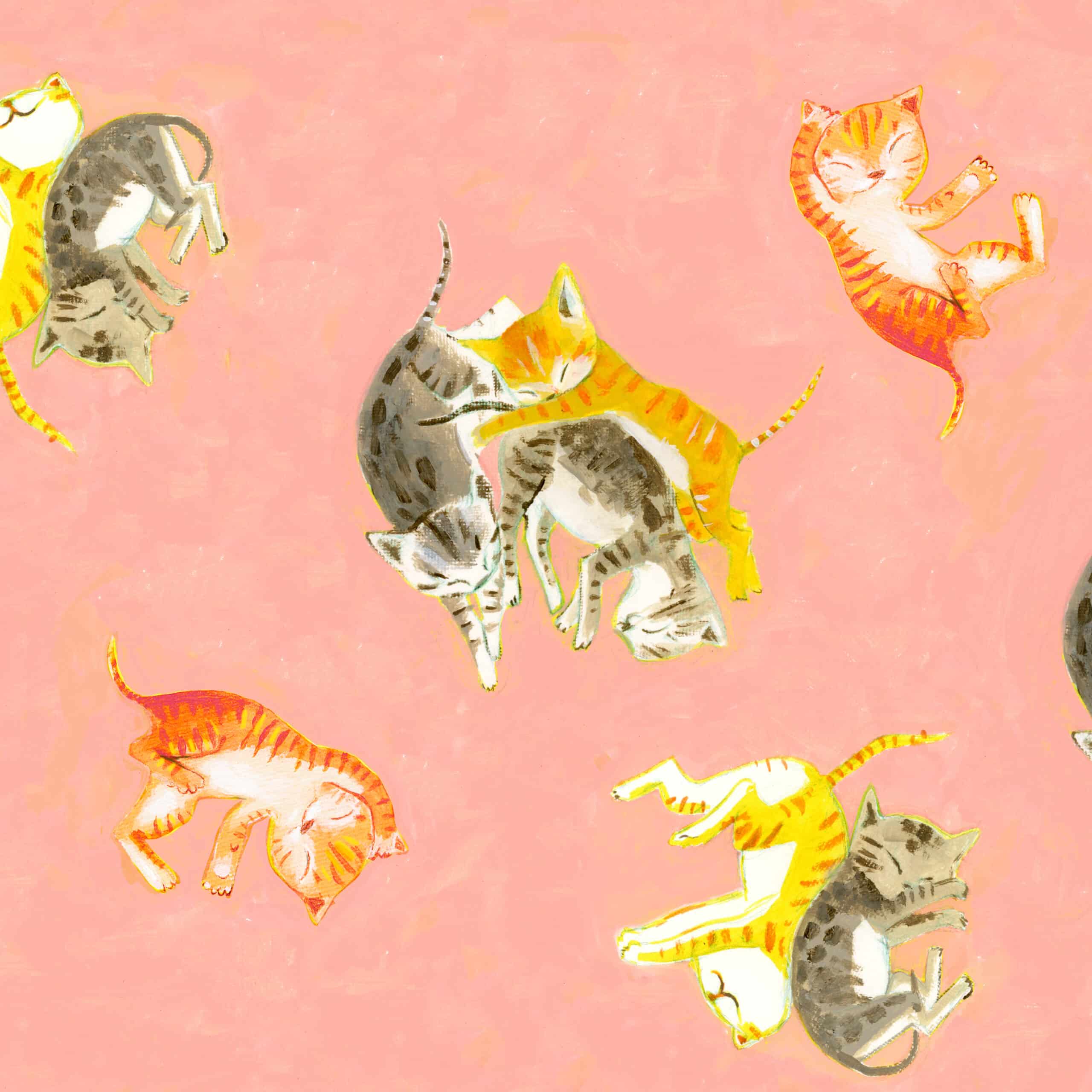 By Hand Barn Kittens in Salmon By Hand Barn Kittens in Salmon
