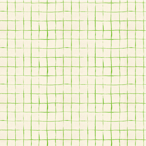 Windham Fabrics Heather Ross By Hand Drawn Plaid White