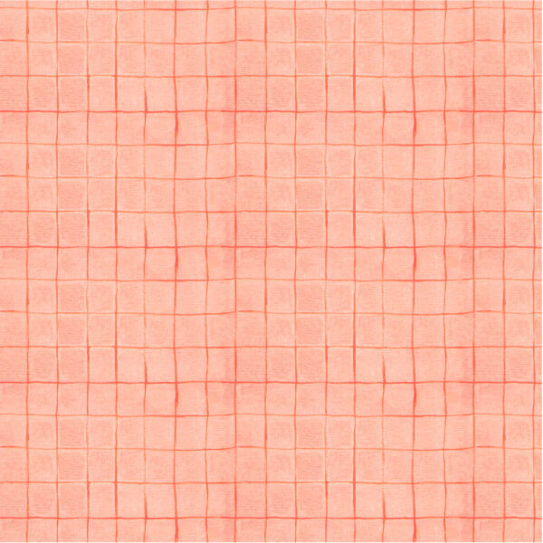 Windham Fabrics Heather Ross By Hand Drawn Plaid Salmon