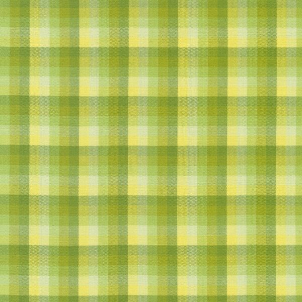 Robert Kaufman - Elizabeth Hartman Kitchen Window Wovens Plaid Zucchini