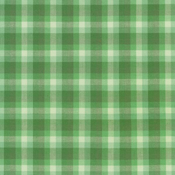 Robert Kaufman - Elizabeth Hartman Kitchen Window Wovens Plaid Palm