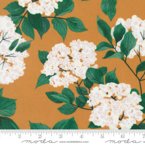 Moda Fabrics Lizzy House Love Letter Black Eldenberry Amber