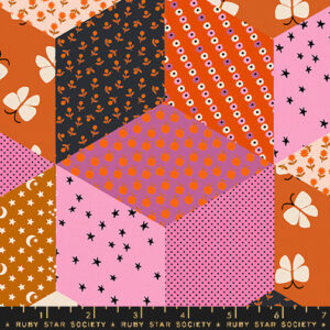Ruby Star Society Alexia Marcelle Abegg Ooh Lucky Lucky Tumbling Blocks Canvas Heliotrope