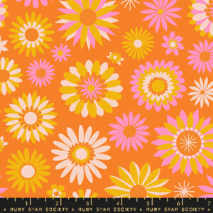 Ruby Star Society Melody Miller Carousel Kaleidoscope Orange