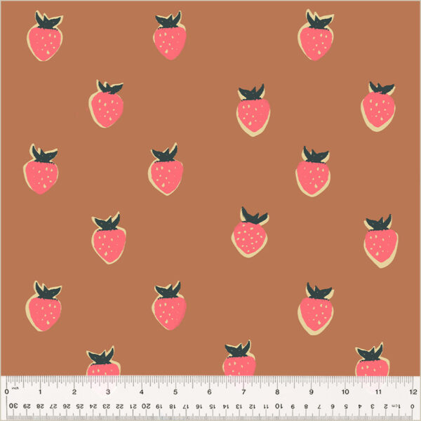 Windham Fabrics Heather Ross 108″ Quilt Back Meadows Berry Wild Rose