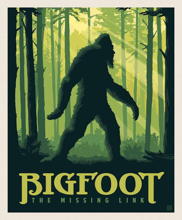 Riley Blake Designs Anderson Design Group Legends of the National Parks Bigfoot The Missing Link Panel