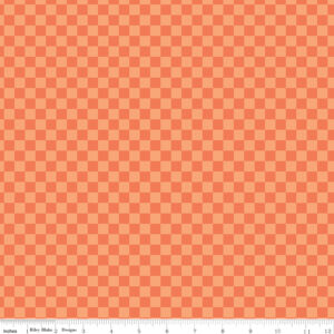 Riley Blake Designs My Minds Eye Hey Pumpkin Checks Orange