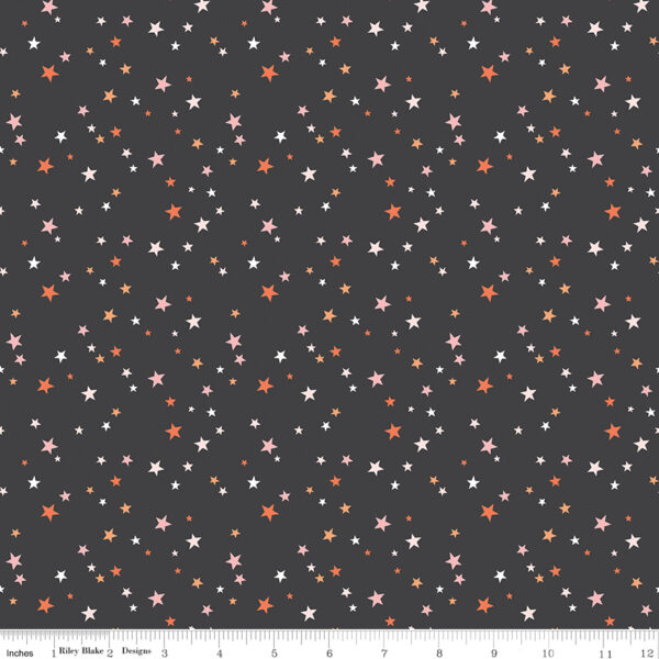 Riley Blake Designs My Minds Eye Hey Pumpkin Stars Charcoal