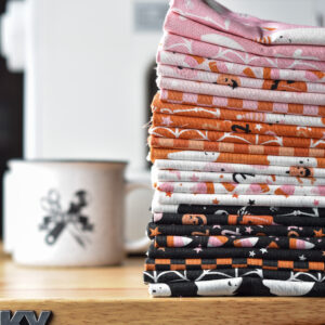 Riley Blake Designs My Minds Eye Hey Pumpkin Bundle