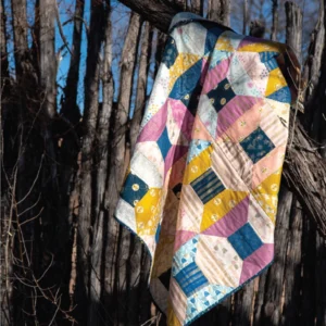 Wise Craft LLC Portal Quilt Pattern