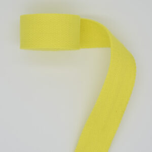 Acid Lime Webbing 1"