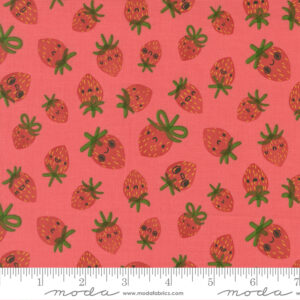 Moda Fabrics Lizzy House Funny Valentine Berry Toss Coral