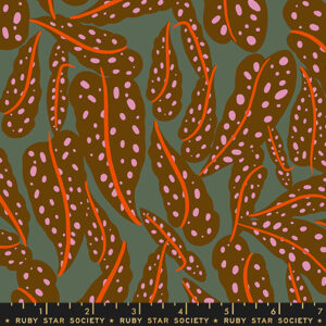 Ruby Star Rising Collaborative Calathea Overlapping Leaves Cocoa