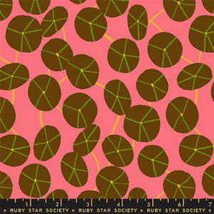 Ruby Star Rising Collaborative Calathea Pilea Strawberry