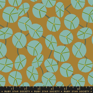 Ruby Star Rising Collaborative Calathea Pilea Suede