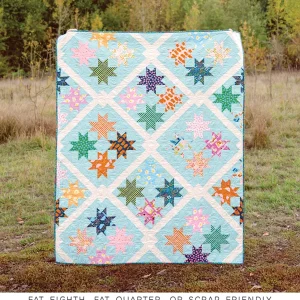 Kitchen Table Quilting The Remy Quilt Pattern