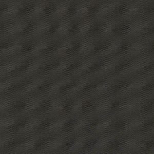 Big Sur Canvas Charcoal