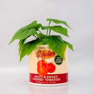Ban.do Tomato Can Ceramic Vase