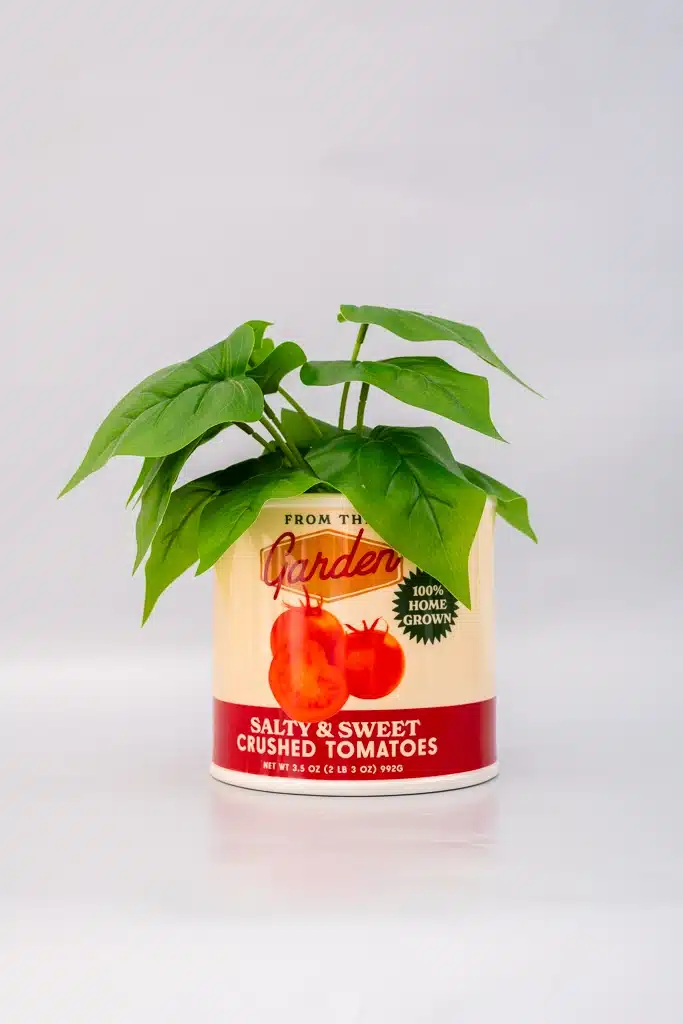 Ban.do Tomato Can Ceramic Vase