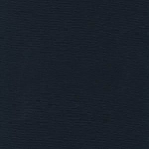 Big Sur Canvas Dark Navy (REMNANT)