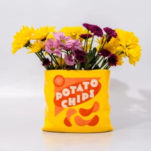 Ban.do Potato Chips Ceramic Vase