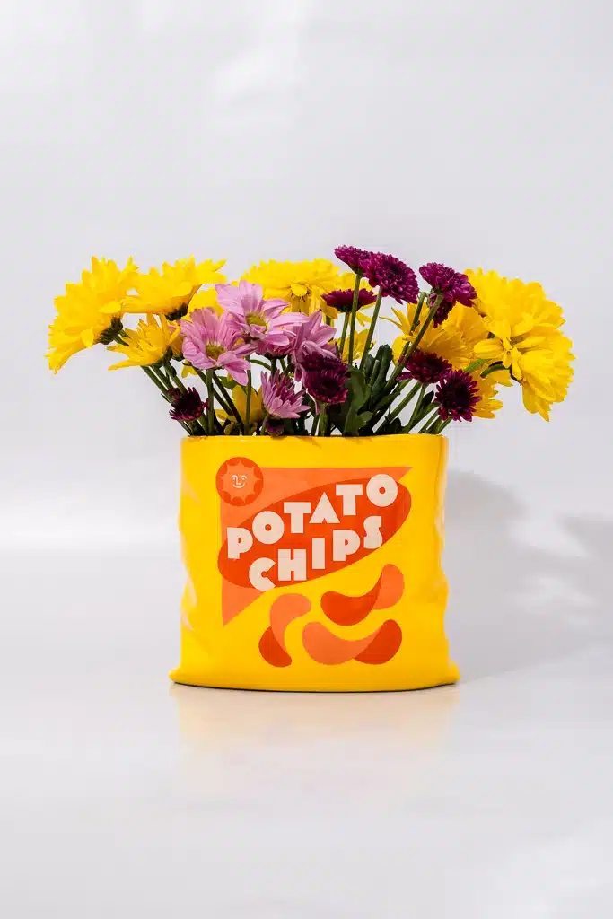 Ban.do Potato Chips Ceramic Vase