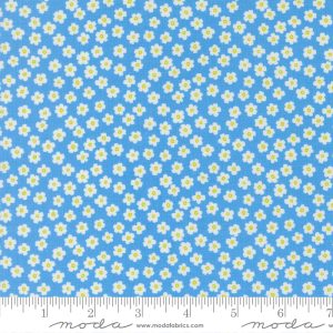 Moda Fabrics Alli K Designs True to Hue Petal Power Blue My Mind