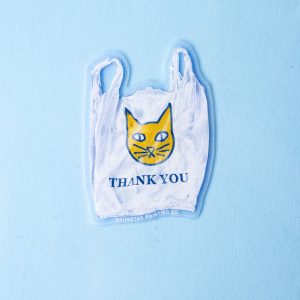 Bromstad Printing Co Convenience Store Bag Cat Clear Sticker