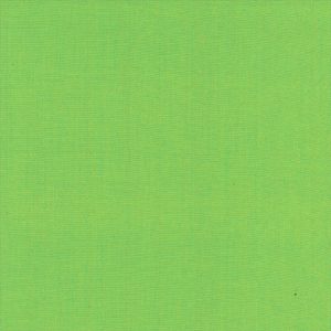 Windham Fabrics Artisan Cotton Seafoam Green