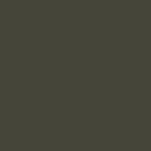 Windham Fabrics Heather Ross and Annabel Wrigley Ruby + Bee Solids Green Black