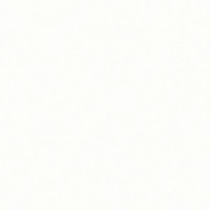 Ruby Star Society Carolyn Friedlander Memento Walnuts Cream Soda