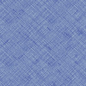 Ruby Star Society Carolyn Friedlander Memento Crosshatch Lapis