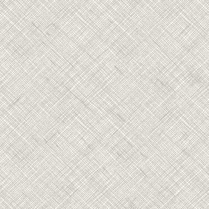 Ruby Star Society Carolyn Friedlander Memento Canvas Crosshatch Cotton