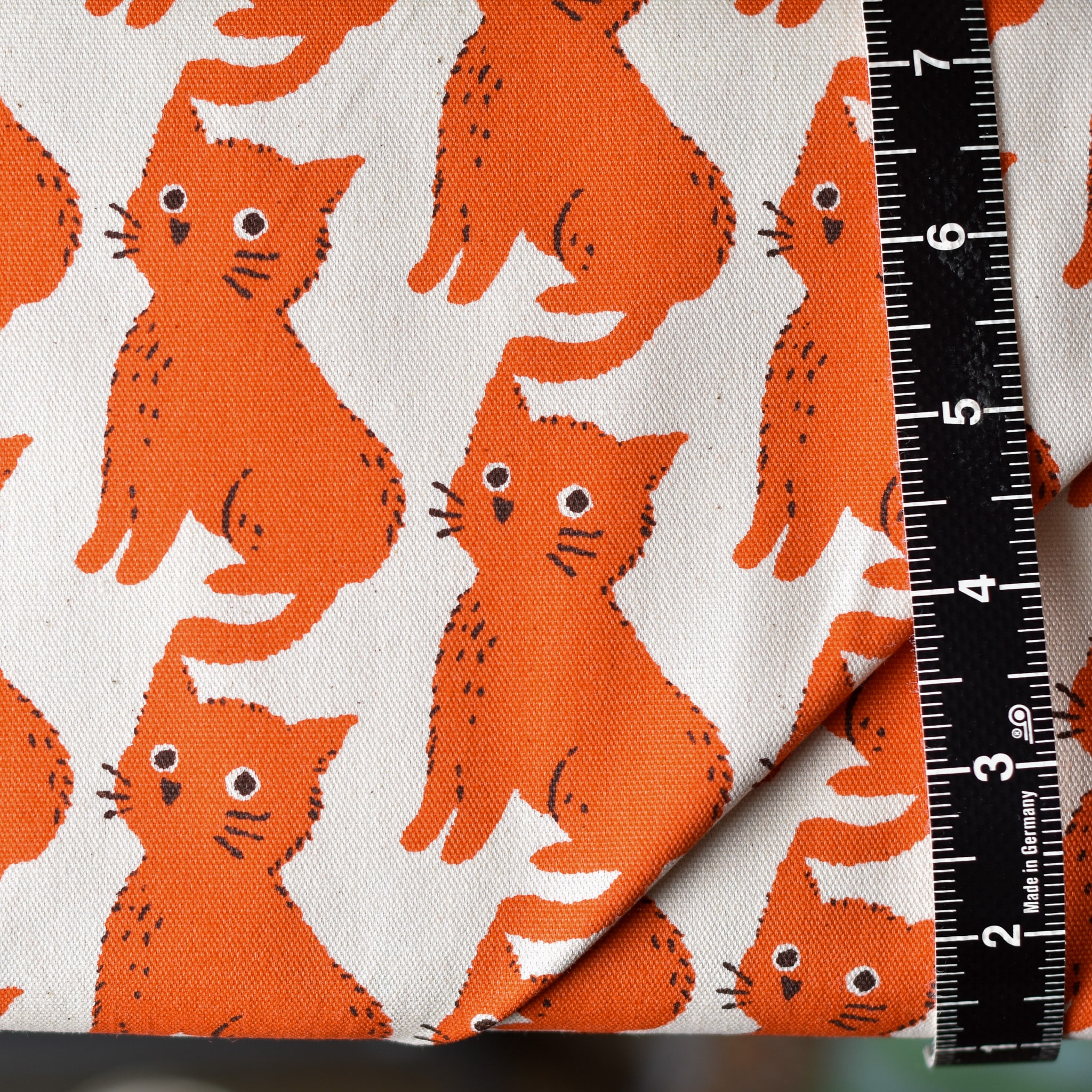 Sevenberry's Wide-Eyed Cat Oxford Cotton Orange