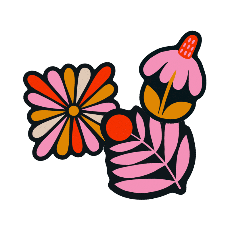 NoSo x Lisa Congdon Flower Patch 3-Pack
