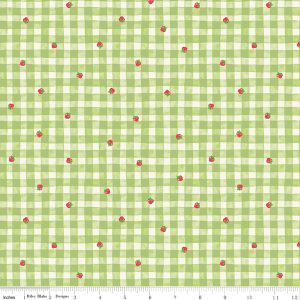 Riley Blake Designs The World of Strawberry Shortcake™ Gingham Green