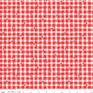 Riley Blake Designs The World of Strawberry Shortcake™ Gingham Red