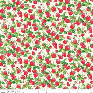 Riley Blake Designs The World of Strawberry Shortcake™ Strawberries Cream