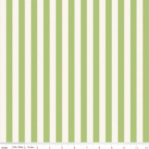 Riley Blake Designs The World of Strawberry Shortcake™ Stripes Green