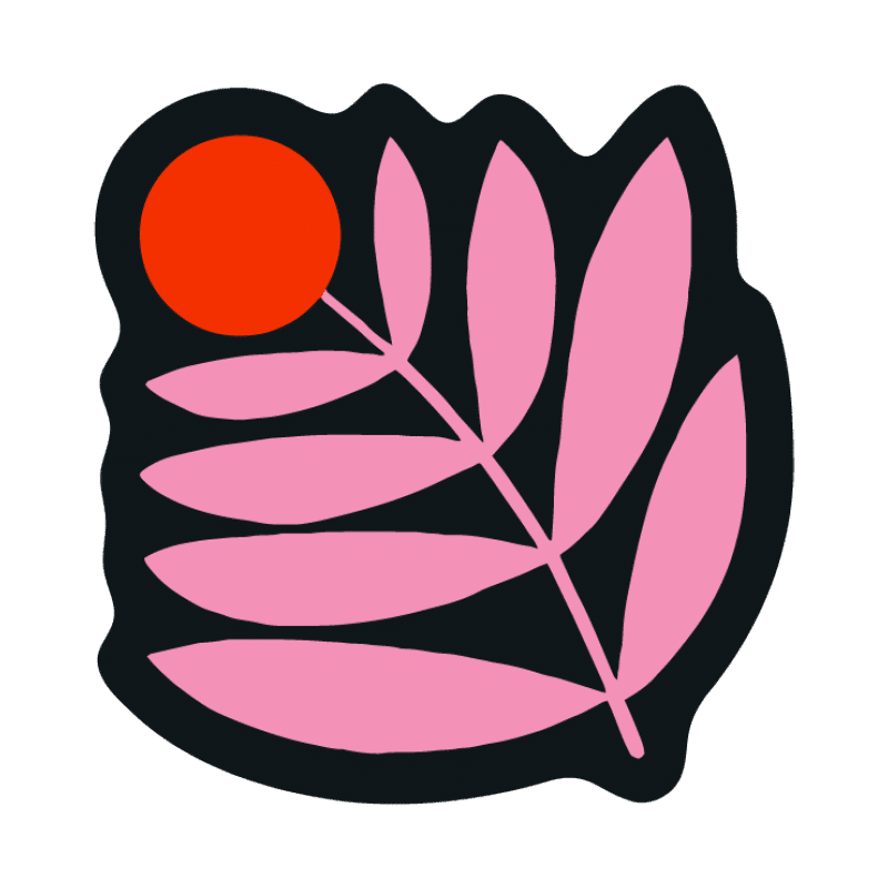 NoSo x Lisa Congdon Flower Patch 3-Pack - Image 7