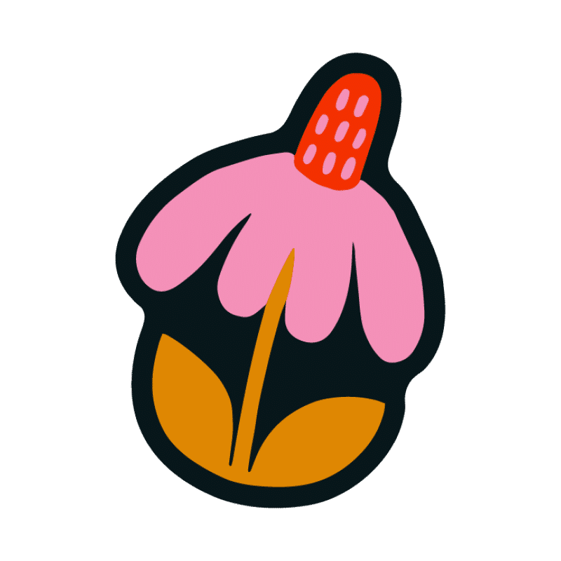 NoSo x Lisa Congdon Flower Patch 3-Pack - Image 6
