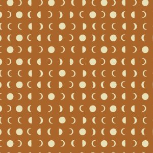 Cloud 9 Fabrics Leah Duncan Firefly Moon Lunar Brown