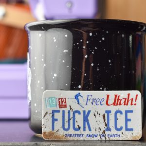 The Far Country Studio Fuck Ice Vinyl Sticker