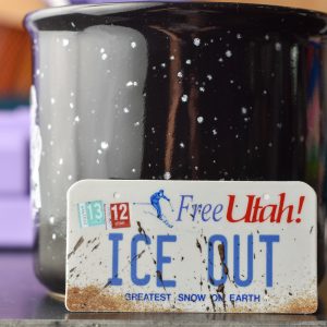 The Far Country Studio Ice Out Vinyl Sticker
